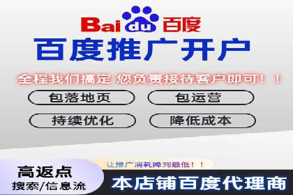 SEM竞价推广案例：电商行业成功案例解析
